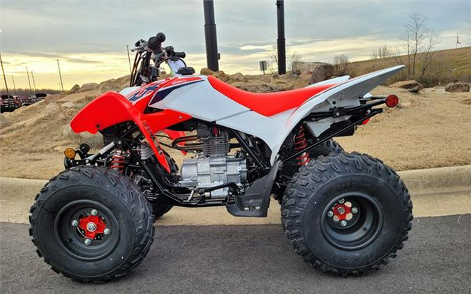 2024 Honda TRX250X