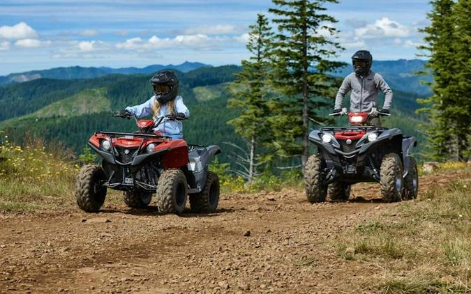 2025 Yamaha Grizzly 110