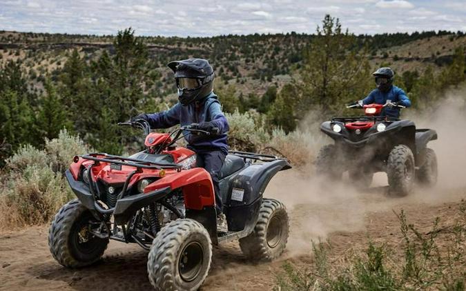 2025 Yamaha Grizzly 110