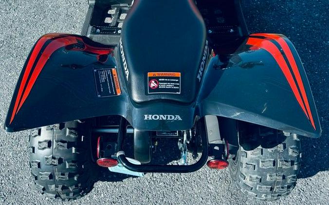 2024 Honda® TRX90X