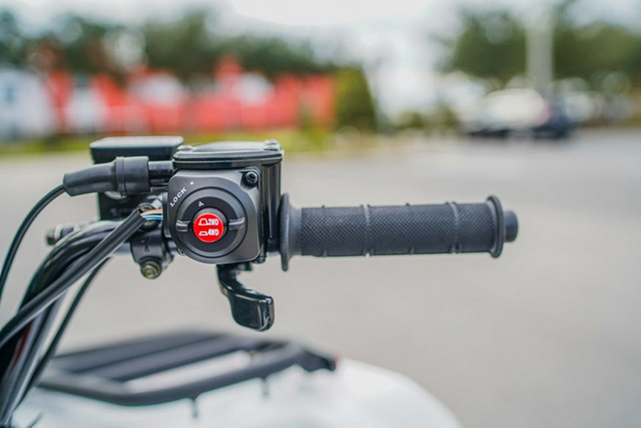 2025 Kawasaki Brute Force 450 4x4