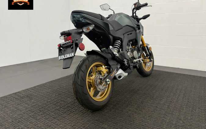 2025 Kawasaki Z125 Pro