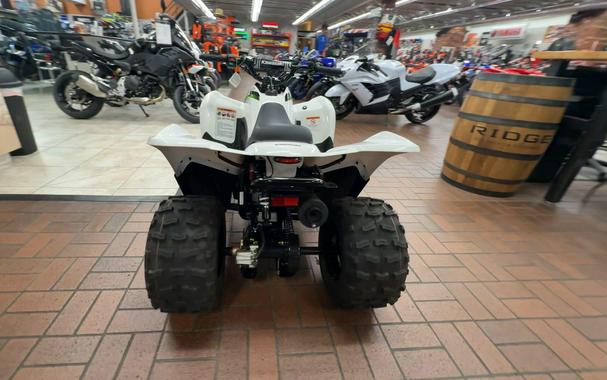 2026 Kawasaki KFX 90