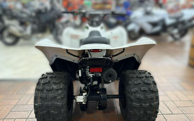 2026 Kawasaki KFX 90