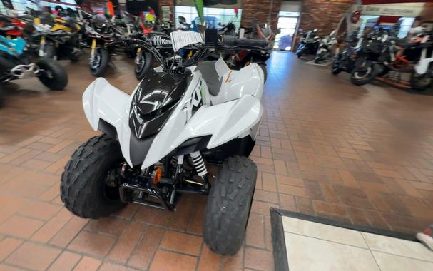 2026 Kawasaki KFX 90