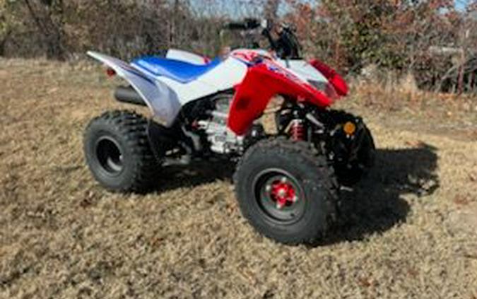 2026 Honda TRX250X