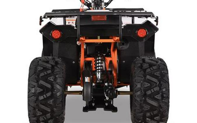 2025 Kayo Bull 125 EFI