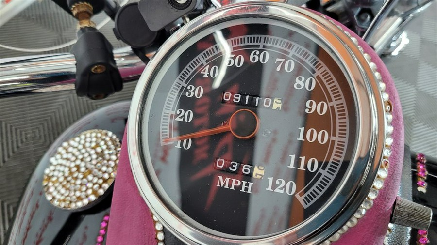 2009 Ridley Auto Glide Classic