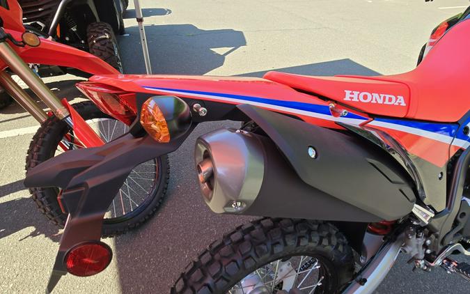 2024 Honda CRF300L Rally ABS