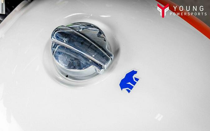 2025 Royal Enfield Bear 650 Boardwalk White 650