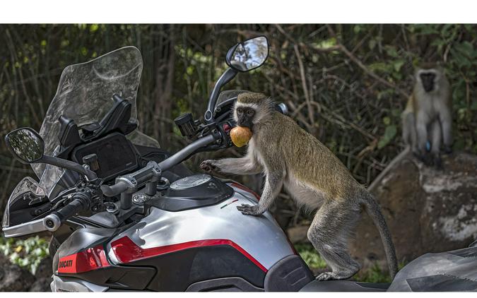 2025 Ducati Multistrada V4 Rally