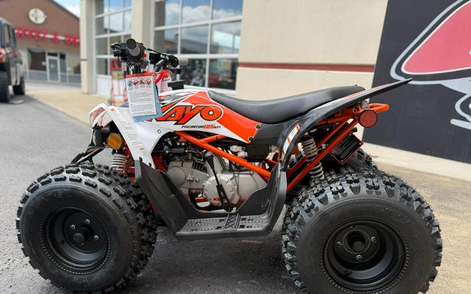 2026 Kayo Predator 125 EFI