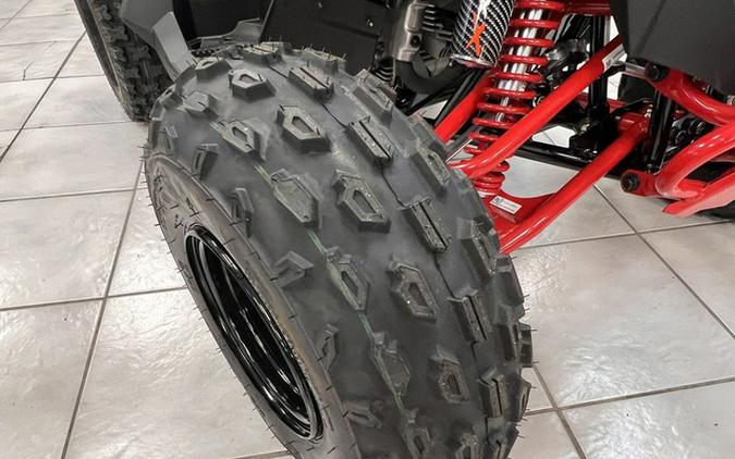 2026 Can-Am Renegade X Xc 110 EFI