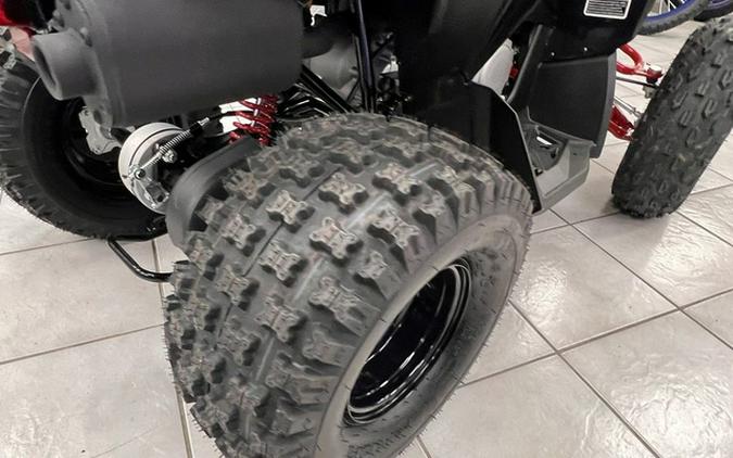 2026 Can-Am Renegade X Xc 110 EFI