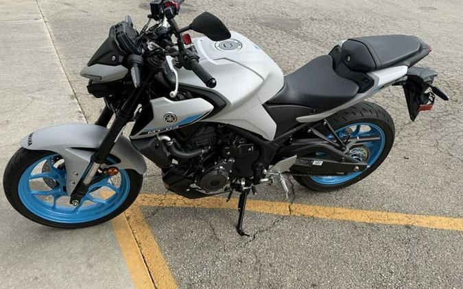 2025 Yamaha MT 03-ICE STORM