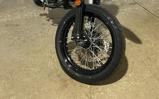 2025 Kawasaki KLX 300SM