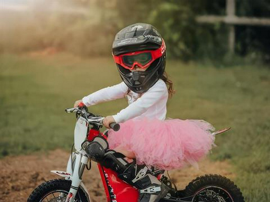 2023 Oset Electric Bikes 12.5R