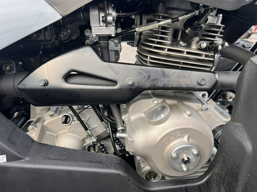 2025 Polaris Phoenix 200