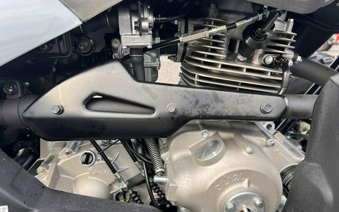 2025 Polaris Phoenix 200