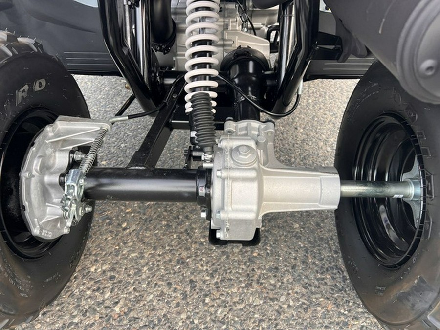 2025 Polaris Phoenix 200