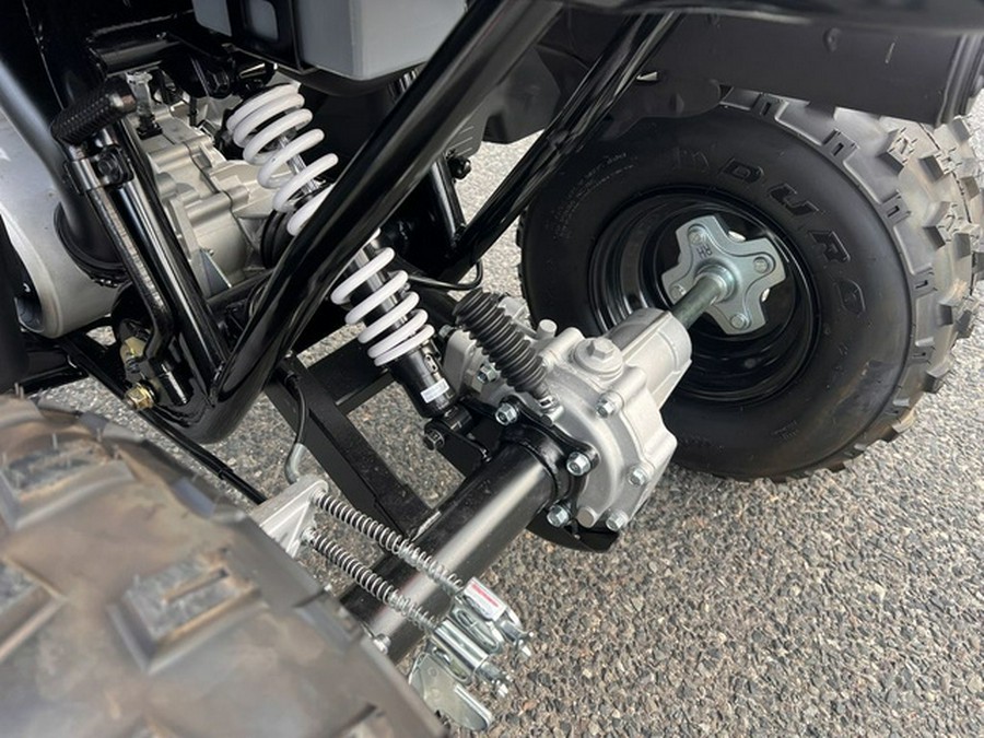 2025 Polaris Phoenix 200