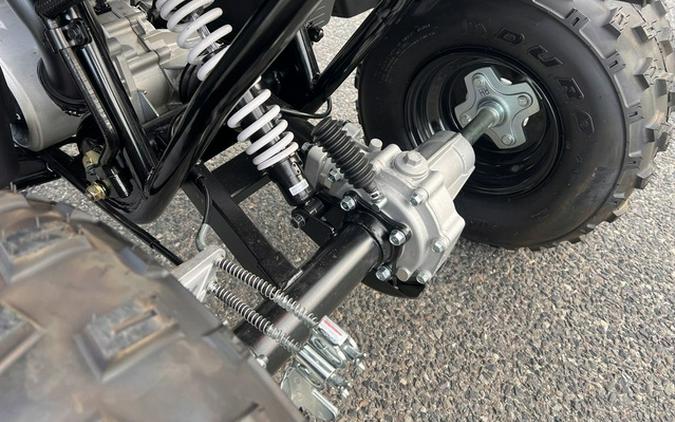 2025 Polaris Phoenix 200