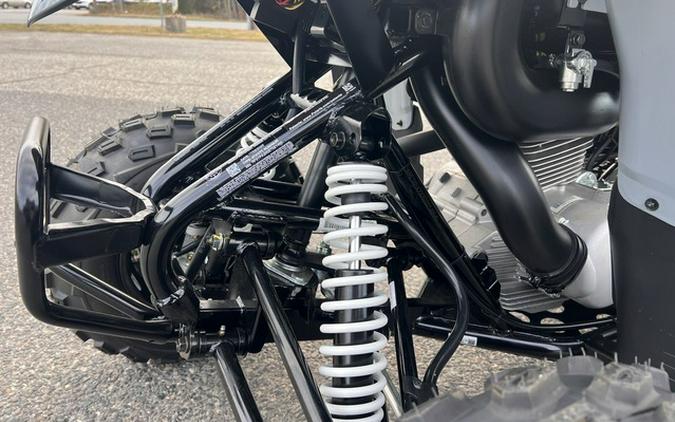 2025 Polaris Phoenix 200