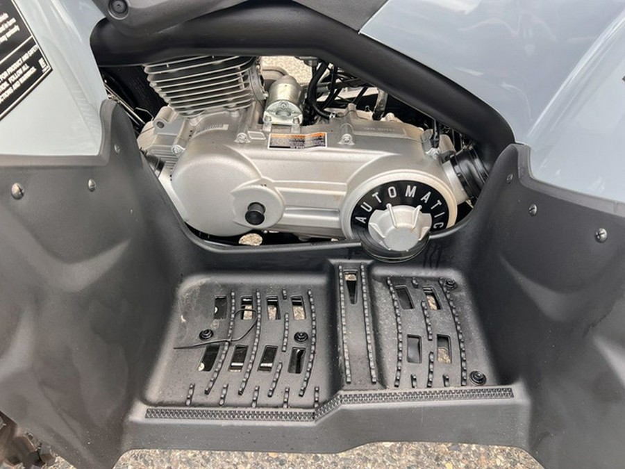 2025 Polaris Phoenix 200