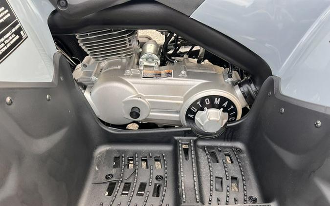 2025 Polaris Phoenix 200