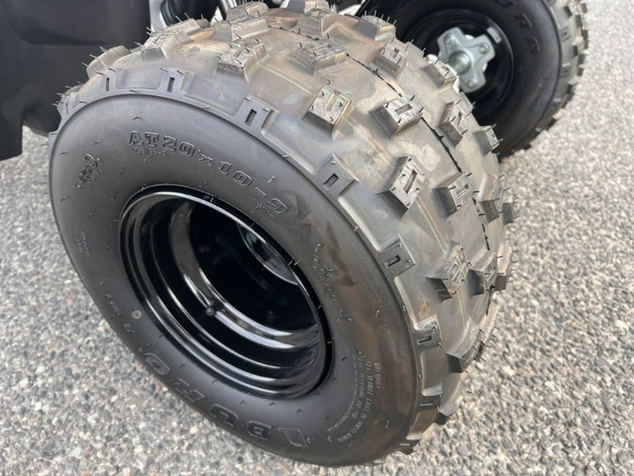 2025 Polaris Phoenix 200