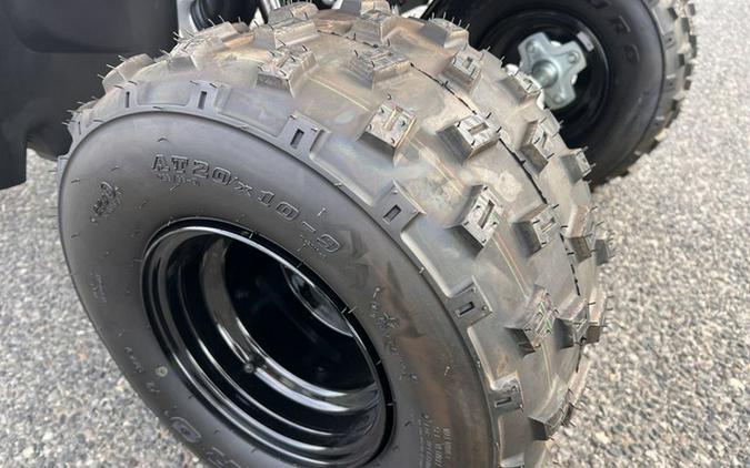 2025 Polaris Phoenix 200