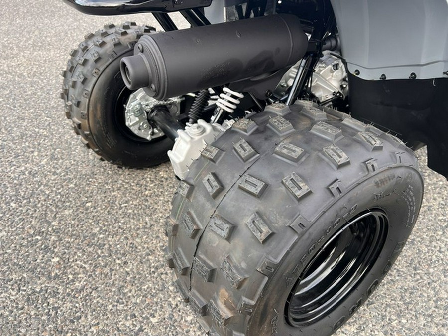 2025 Polaris Phoenix 200