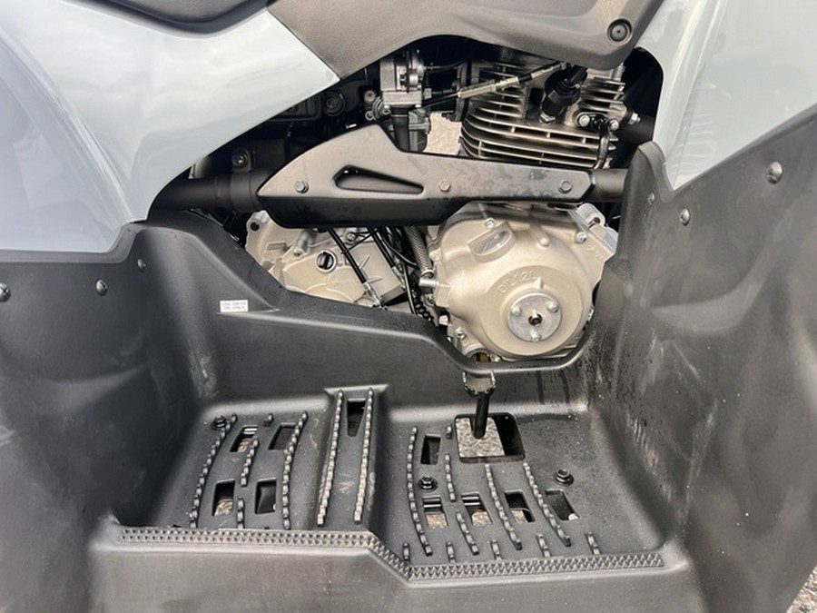 2025 Polaris Phoenix 200