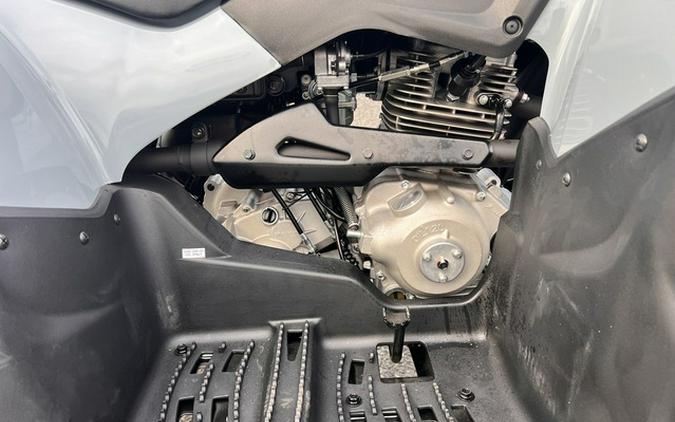 2025 Polaris Phoenix 200