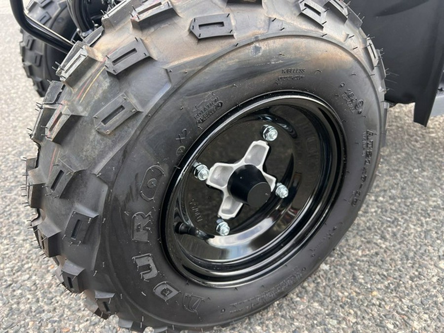 2025 Polaris Phoenix 200