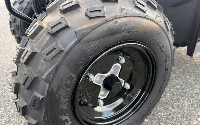 2025 Polaris Phoenix 200