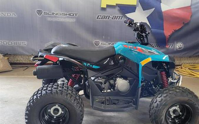 2024 Can-Am Renegade 110 EFI