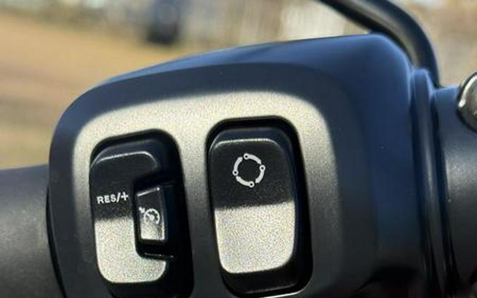 2026 Harley-Davidson® FXLRS - Low Rider® S