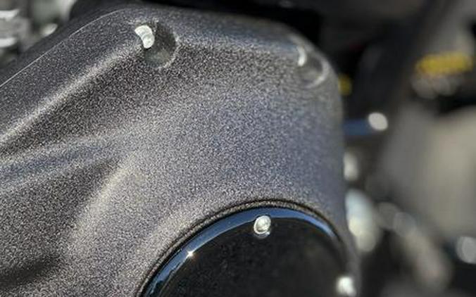 2026 Harley-Davidson® FXLRS - Low Rider® S