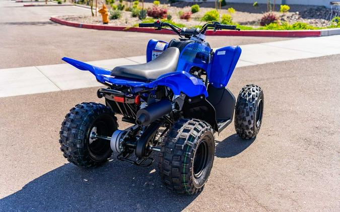 2024 Yamaha Raptor 110