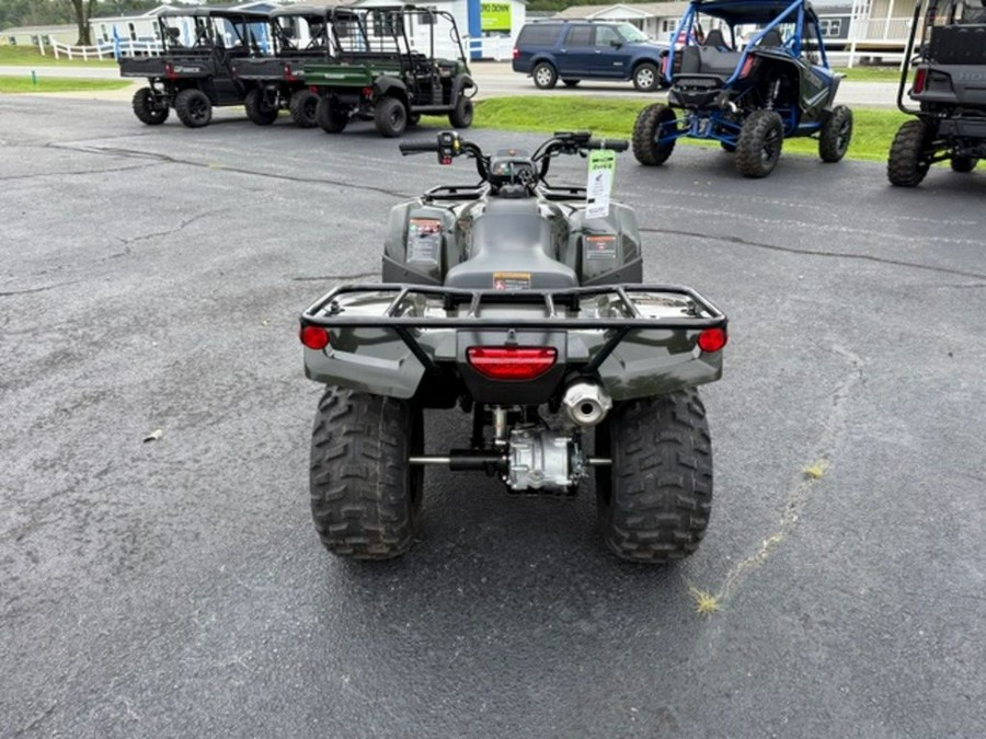 2025 Honda® FourTrax Recon ES