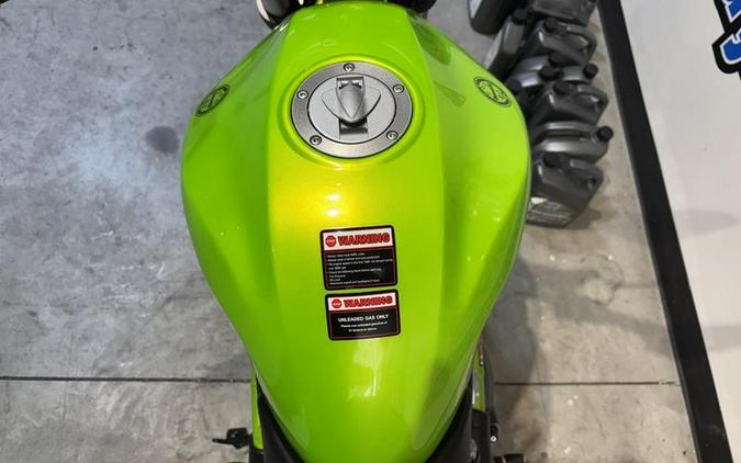 2024 Benelli 302S