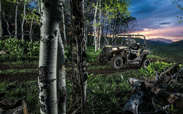 2018 Polaris RZR 900 EPS