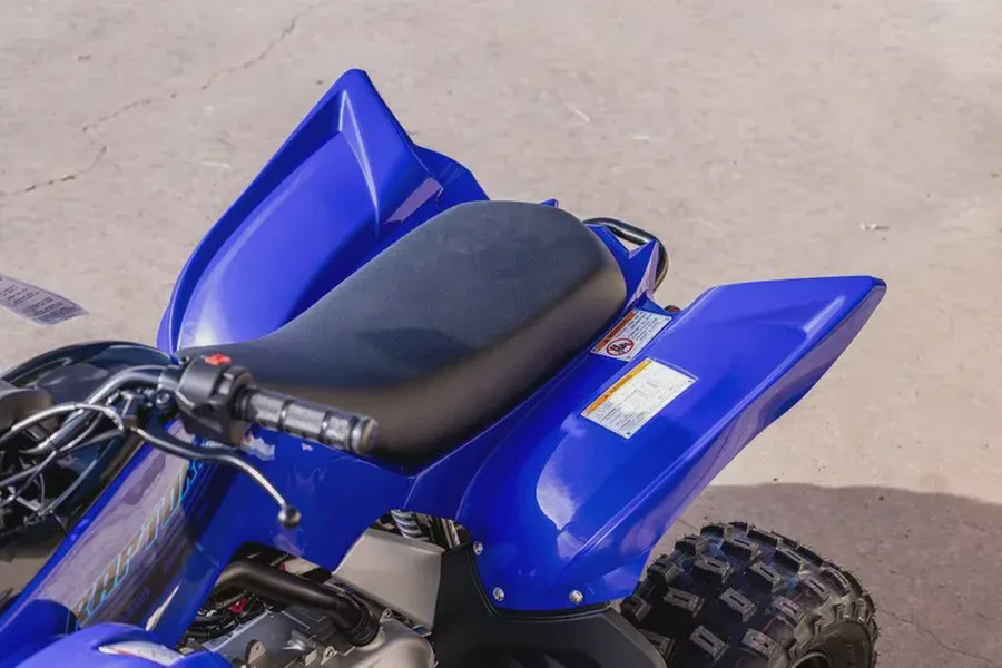2026 YAMAHA RAPTOR 110