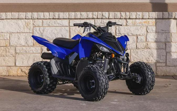 2026 YAMAHA RAPTOR 110