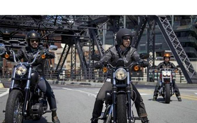 2013 Harley-Davidson Sportster® Iron 883™