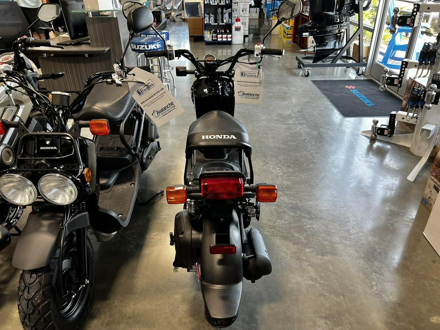 2024 Honda RUCKUS NPS50R