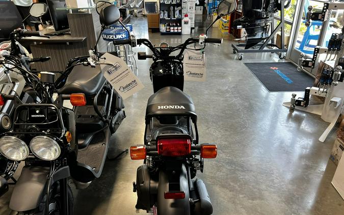 2024 Honda RUCKUS NPS50R