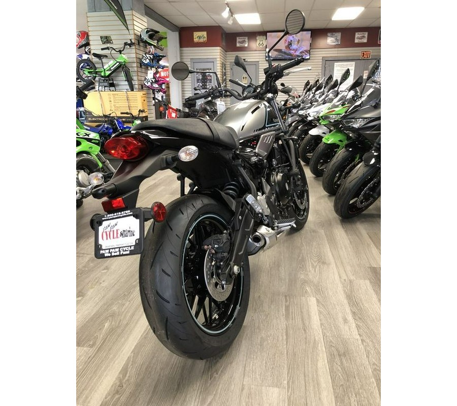 2023 Kawasaki Z650RS