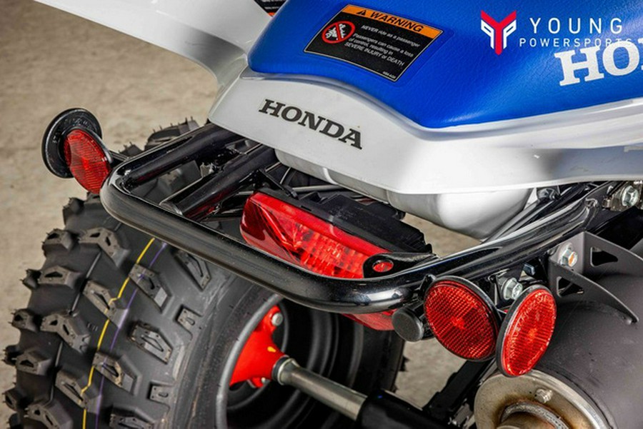 2026 Honda TRX250X